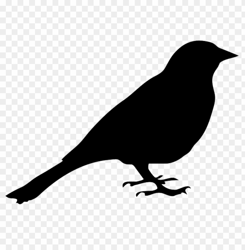 birds png images background - Image ID 412