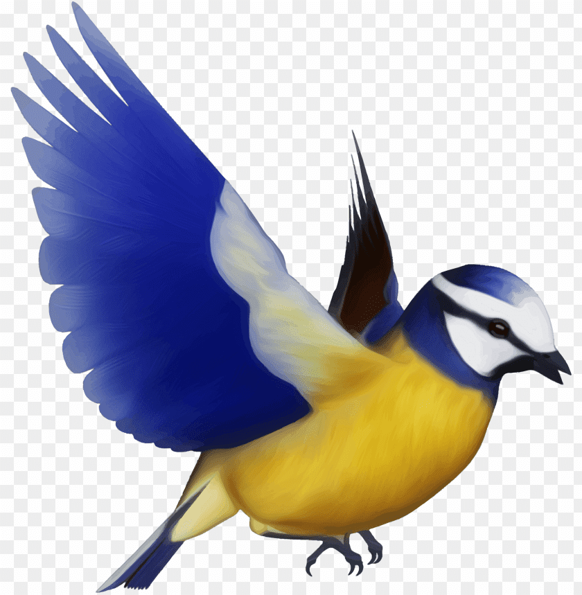 birds png images background - Image ID 449