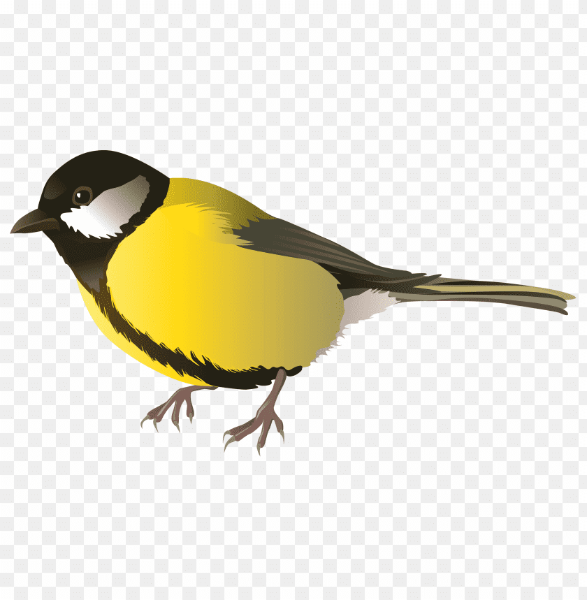 birds png images background - Image ID 482