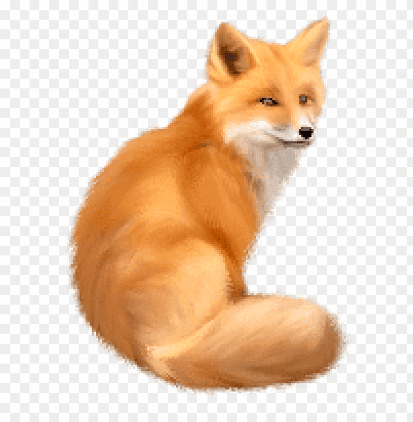 fox png images background - Image ID 295