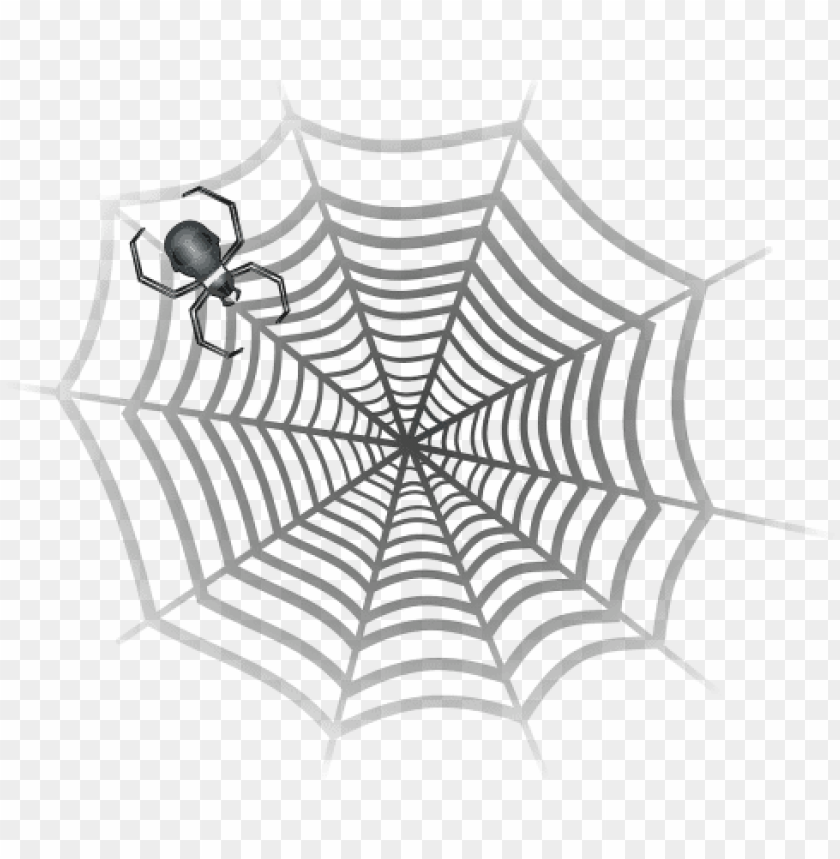 gray spider in web PNG transparent with Clear Background ID 91713