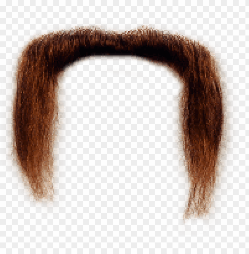 Transparent background PNG image of long ginger moustache - Image ID 69585